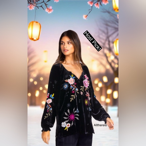 HP๐ JohnnyWas Velvet top  ๐บ๐ธ - Picture 2 of 16